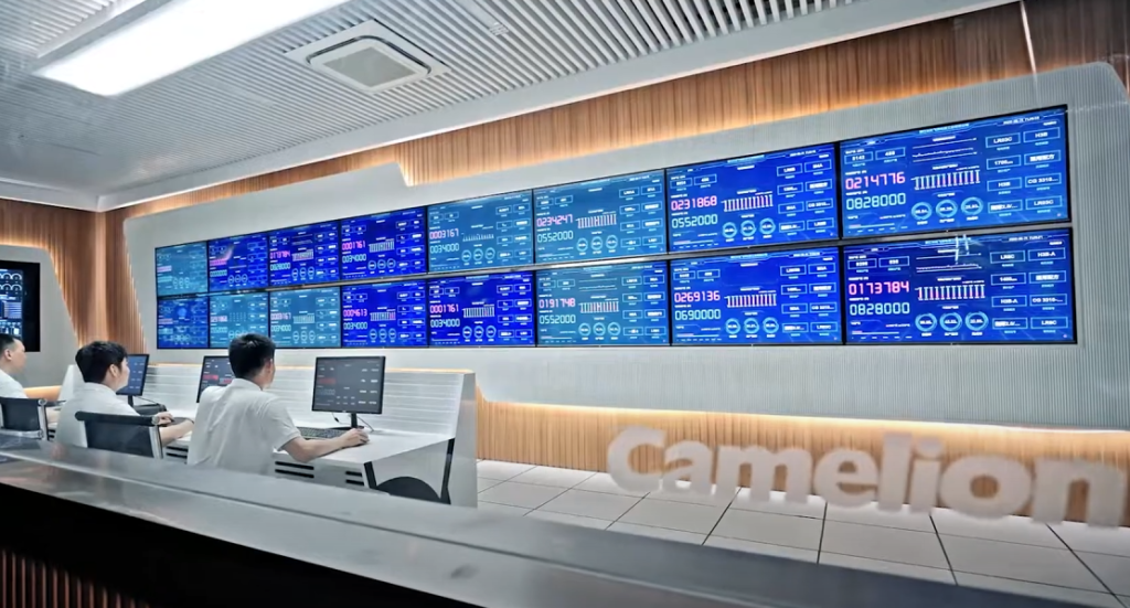 Camelion Battery Co., Ltd