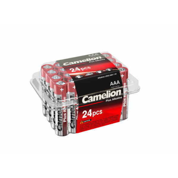 CAM_LR6_Alkaline_PB24.jpg